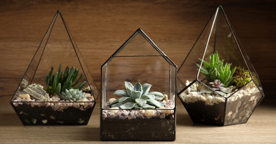 Drei Mini-Gärten | Credit: iStock.com/Liudmila Chernetska