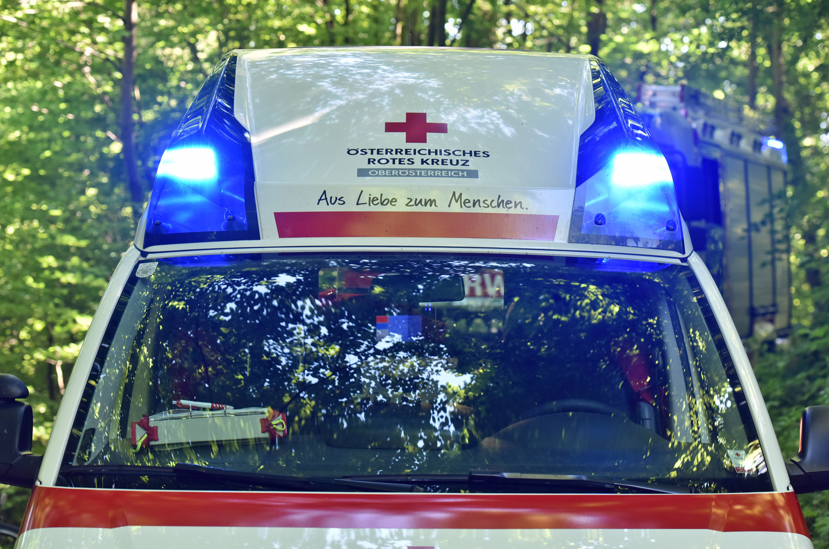 Rettungswagen im Wald