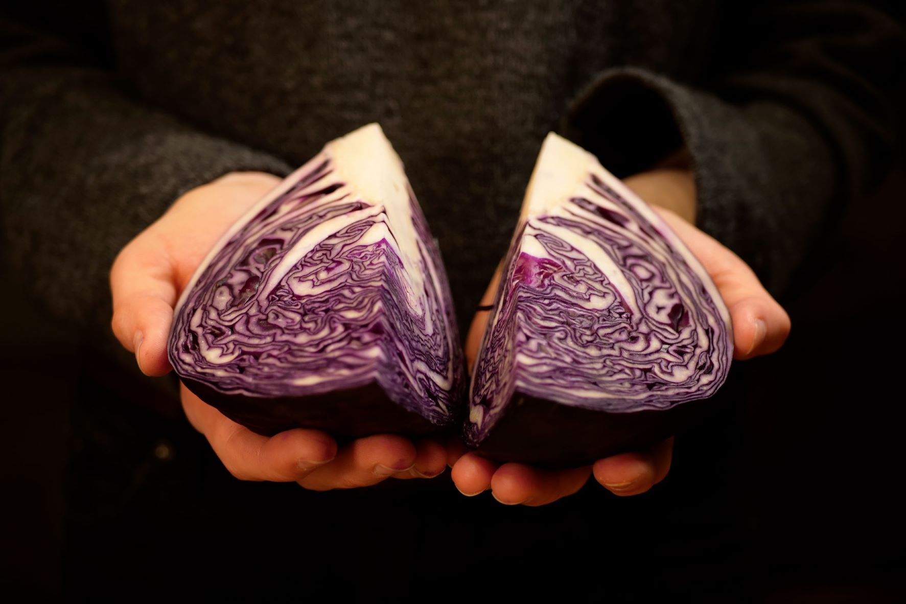 Vitamin C-Booster Rotkraut | Credit: Land schafft Leben