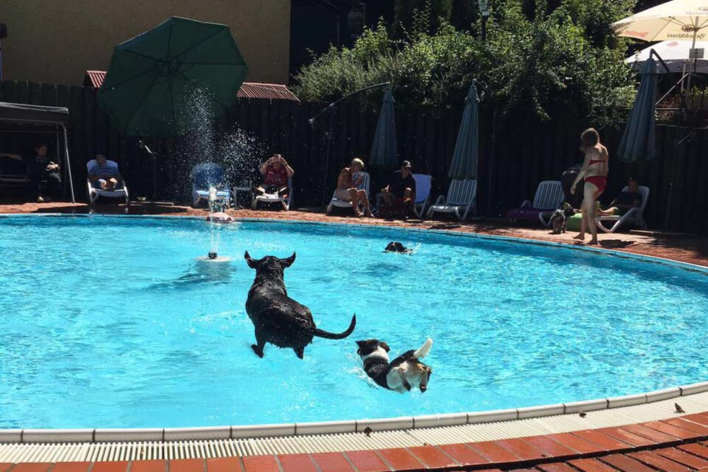 Seehotel Moldan: Ab in den Pool | Credit: Seehotel Moldan