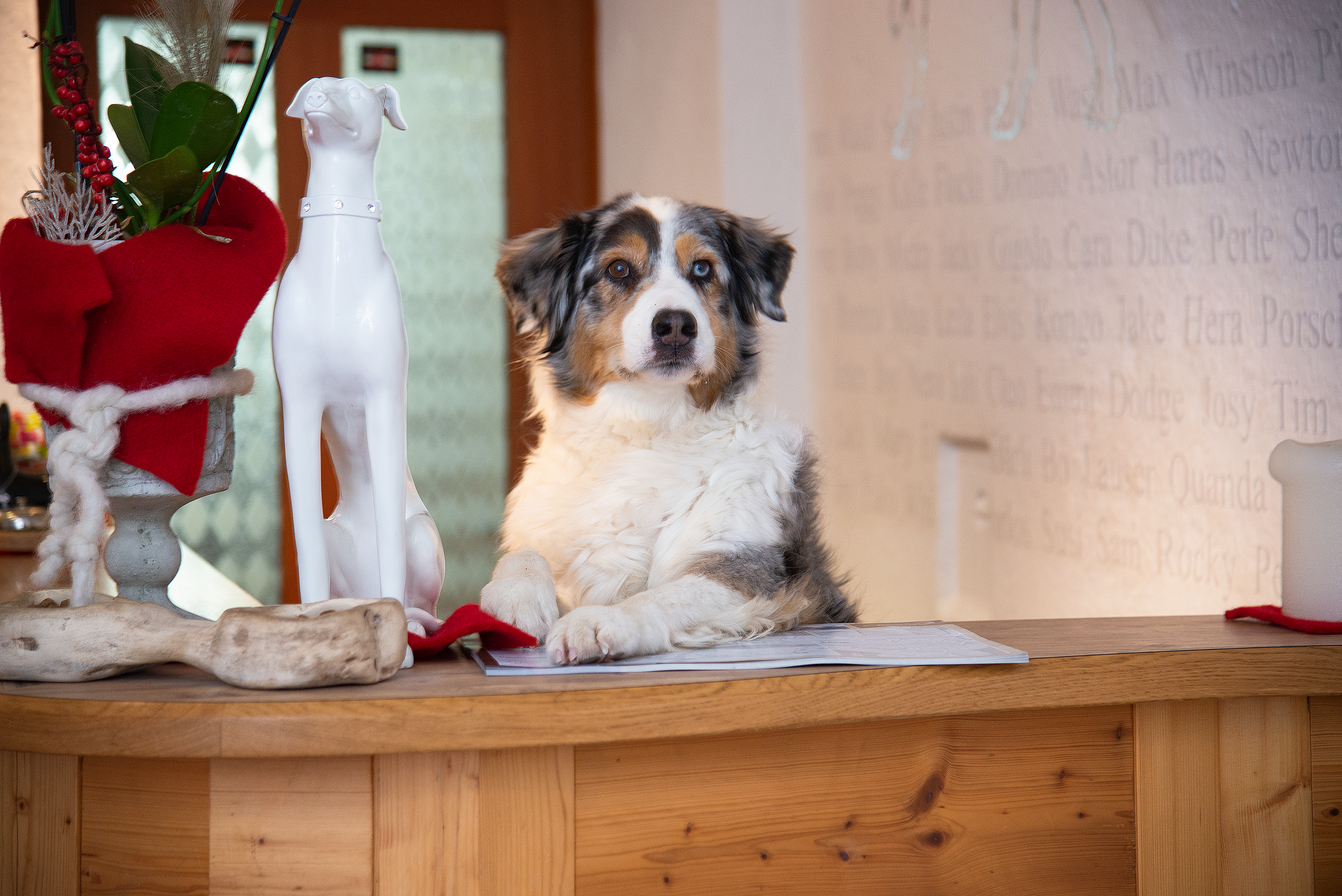 Hotel Grimming im Raurisertal | Credit: Foto Lebesmühlbacher