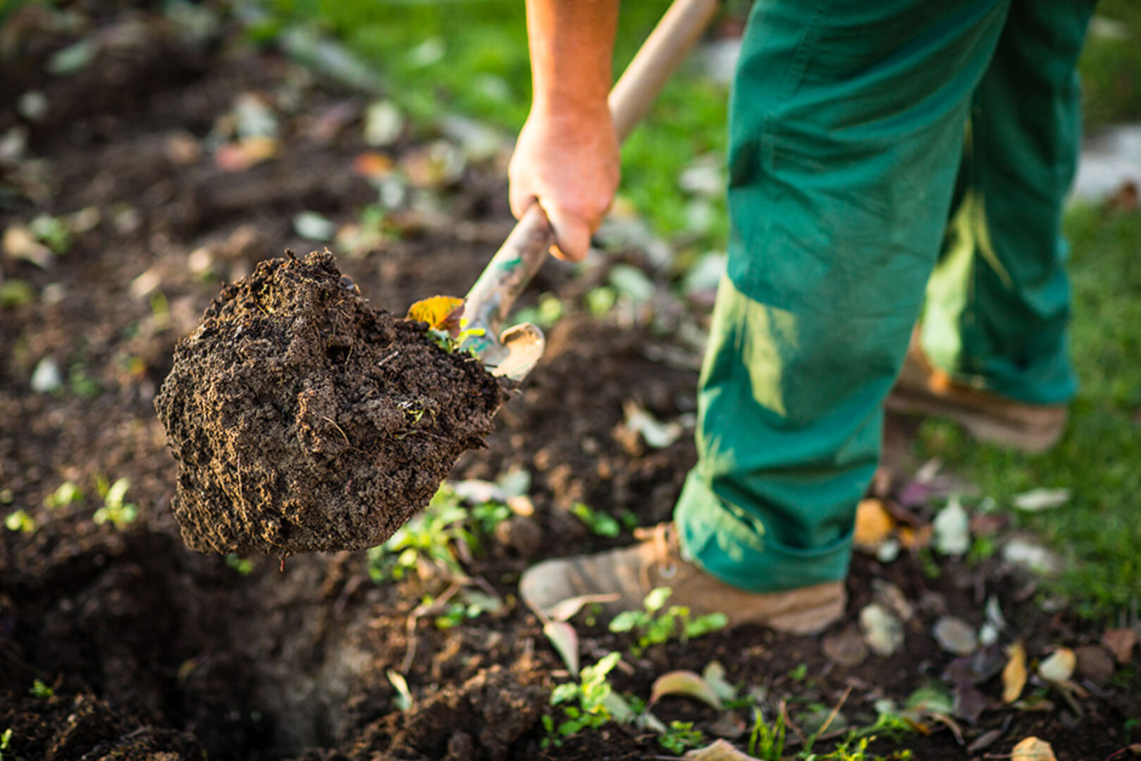 Mann hebt mit dem Spaten Gartenerde aus | Credit: iStock.com/ViktorCap