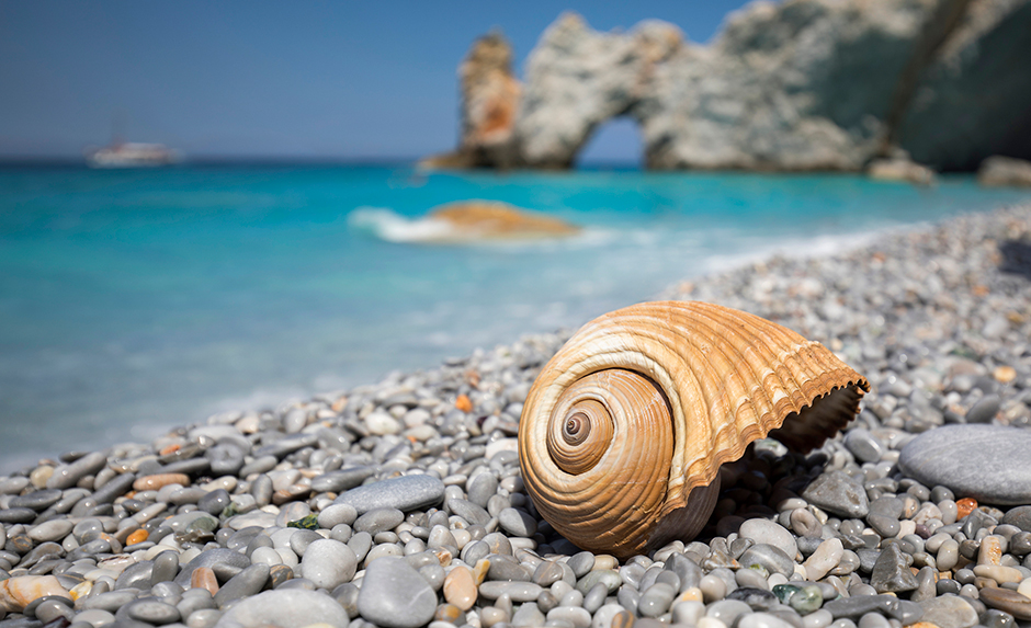 Riesenmuschel auf dem Lalaria Strand | Credit: iStock.com/RobertBreitpaul