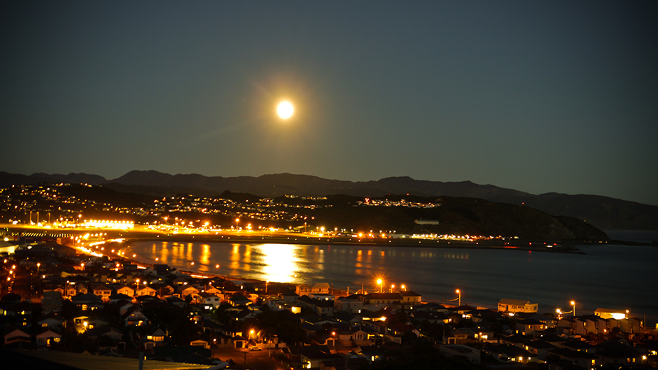 Lyall Bay in Wellington | Credit: iStock.com/edgoodacre123