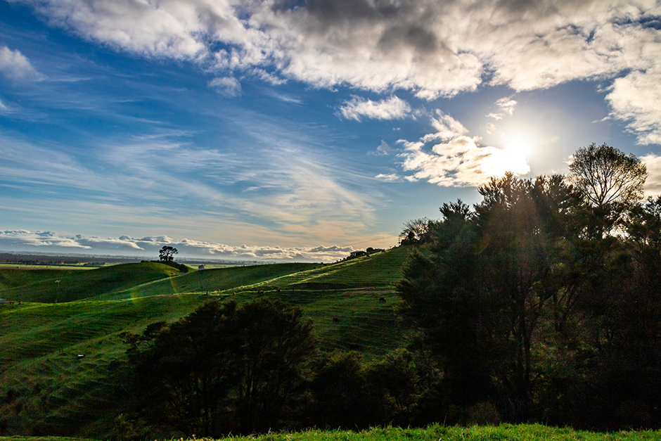 Matamata in Neuseeland bei Sonnenaufgang | Credit: iStock.com/David Butler