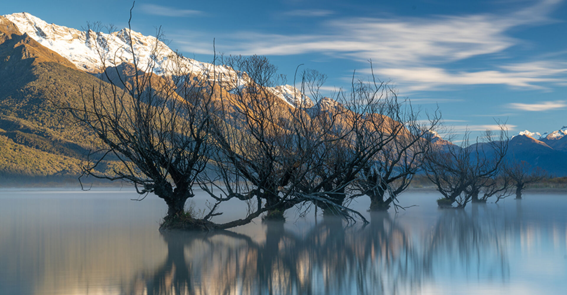 Weidenbäume im Lake Wakatipu in Neuseeland | Credit: iStock.com/CC LIU
