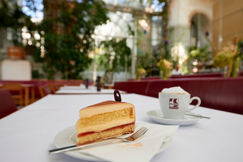 Palmenhaustorte mit Melange | Credit: Robert Kalb / picturedesk.com