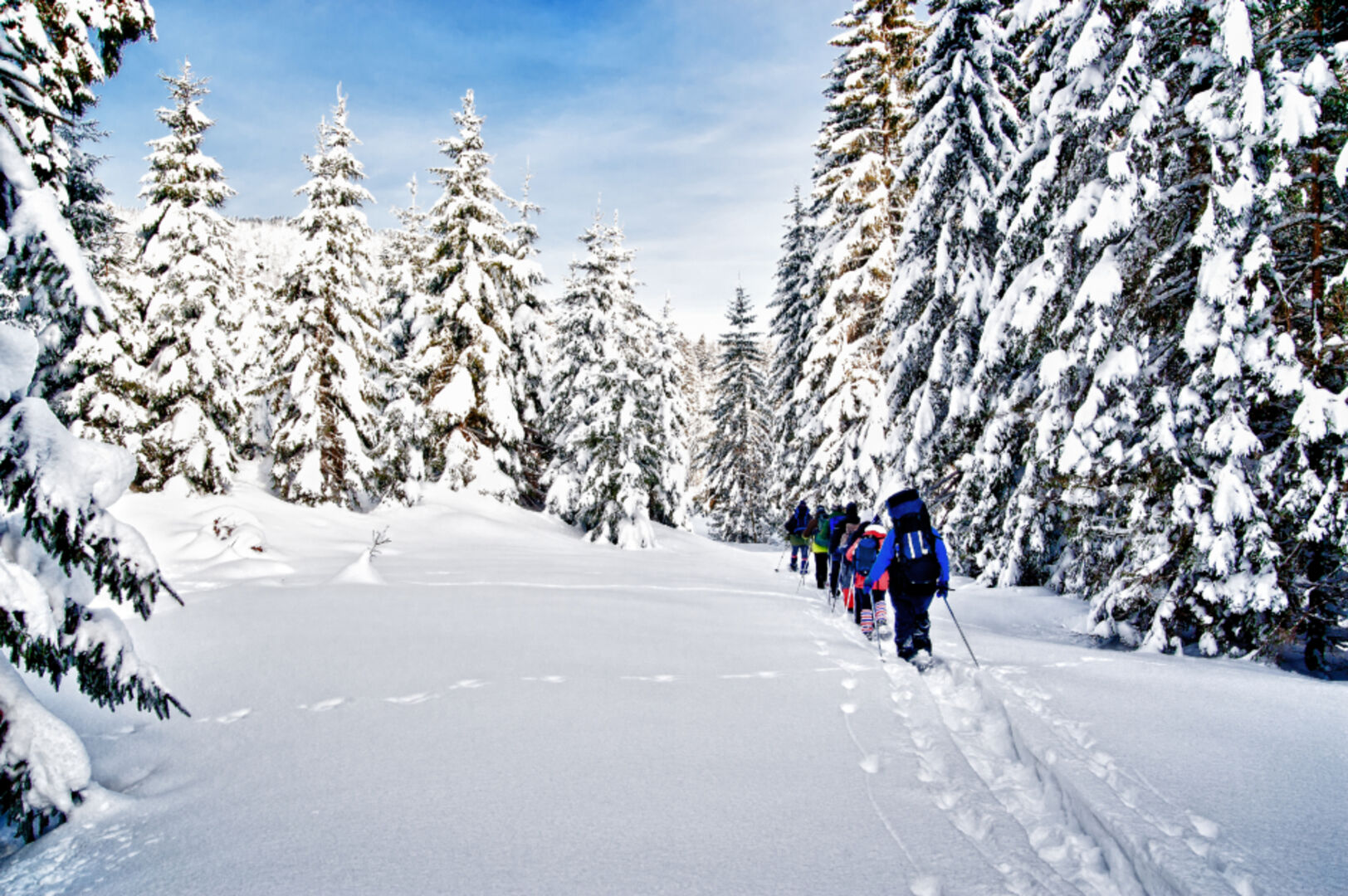 Eine Gruppe Schneeschuhwanderer | Credit: iStock.com/tepic