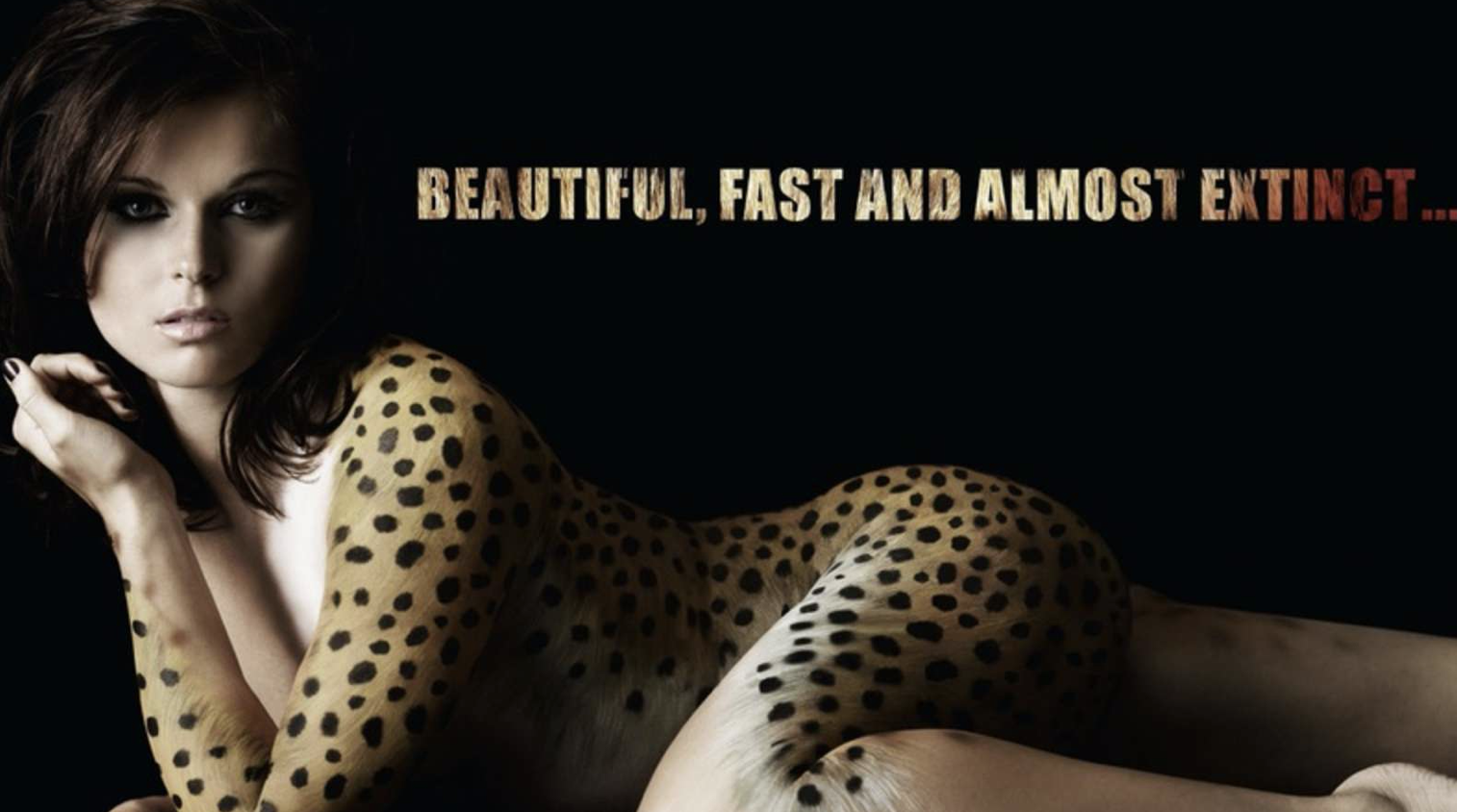 Anna Veith | Credit: Anna Veith/THOMAS KETTNER/VITESSE