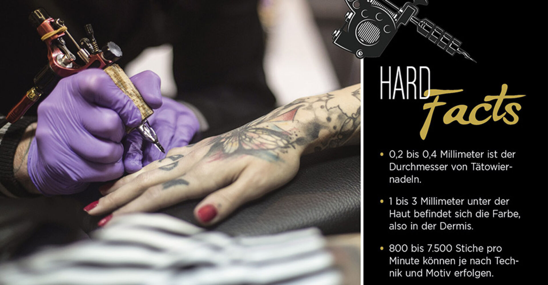 Hard Facts zum Thema Tattoo