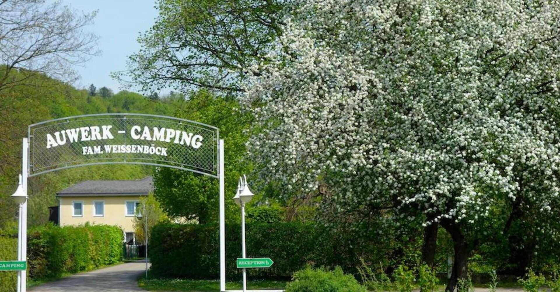 Blühender Busch neben einer Einfahrt