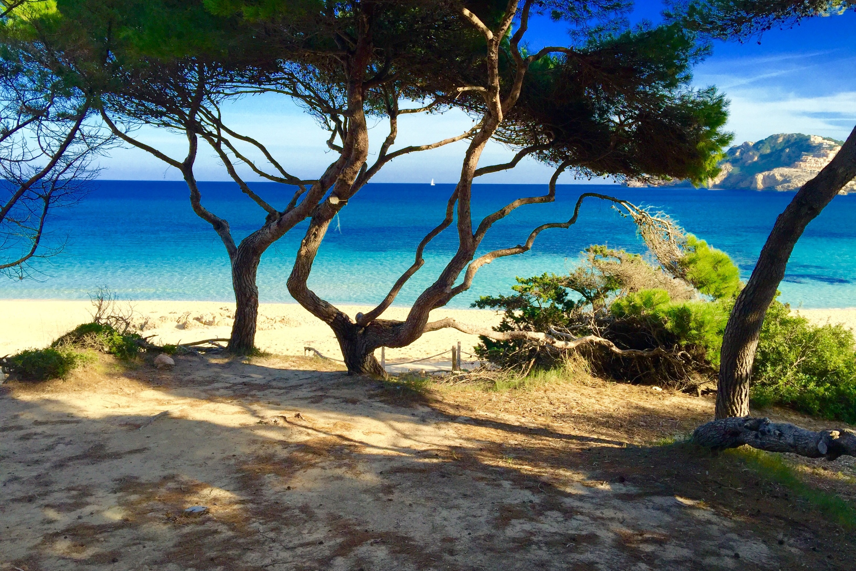 Mildes Klima | Credit: fincallorca