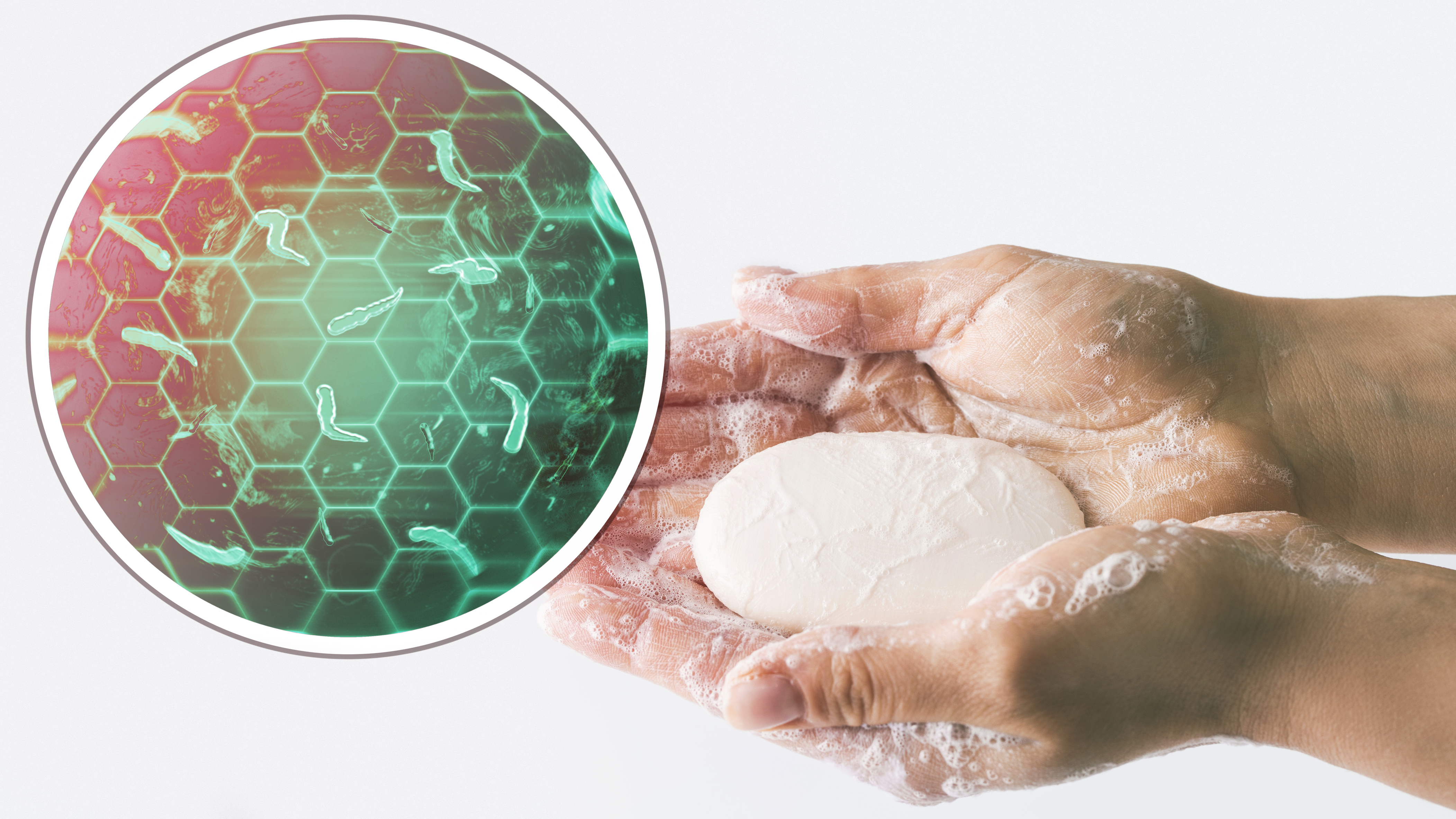 Bakterien unter den Fingernägeln | Credit: iStock.com/Jun