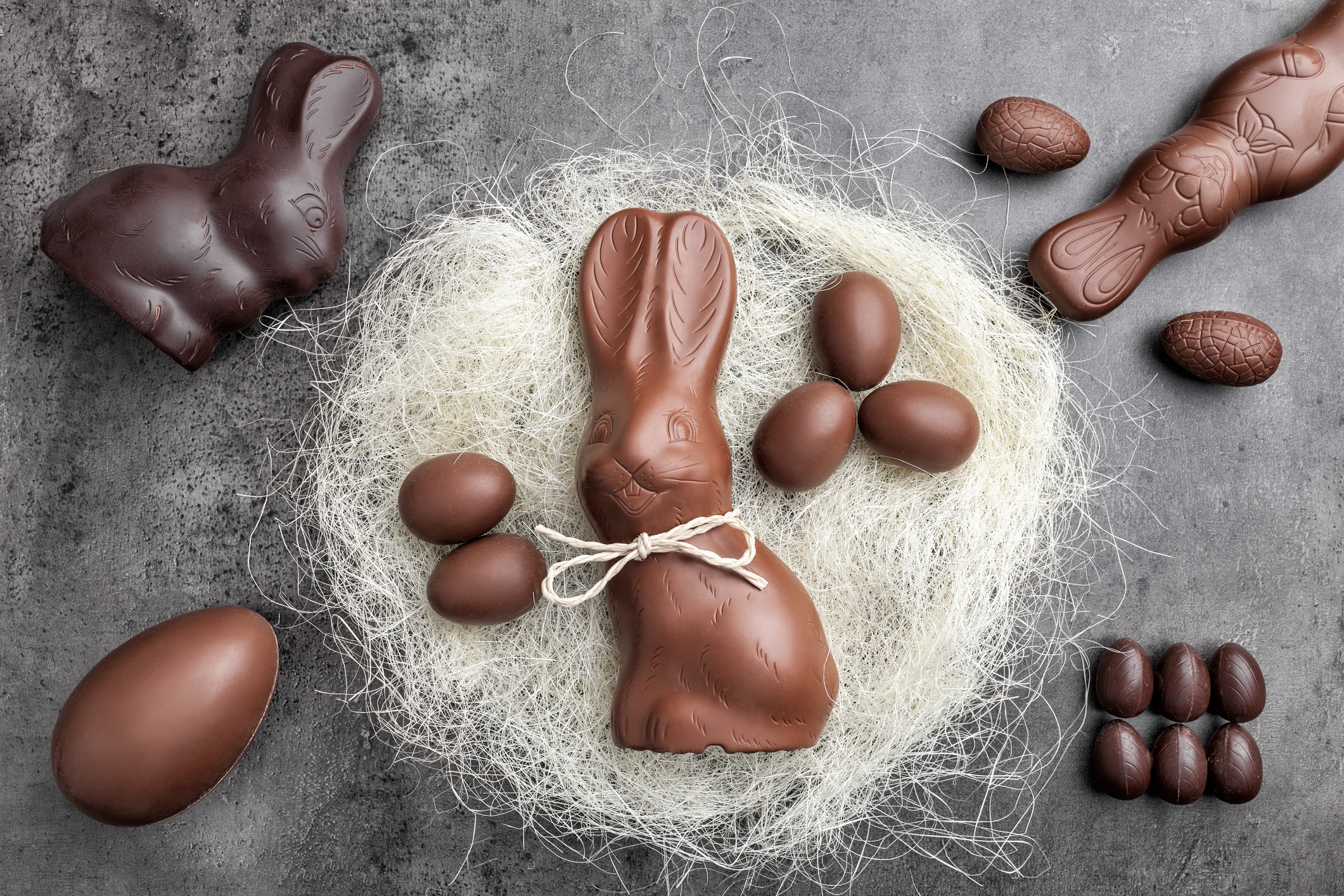 Mehrere Schokoosterhasen und Schokoeier in einem Nest aus weißer Wolle