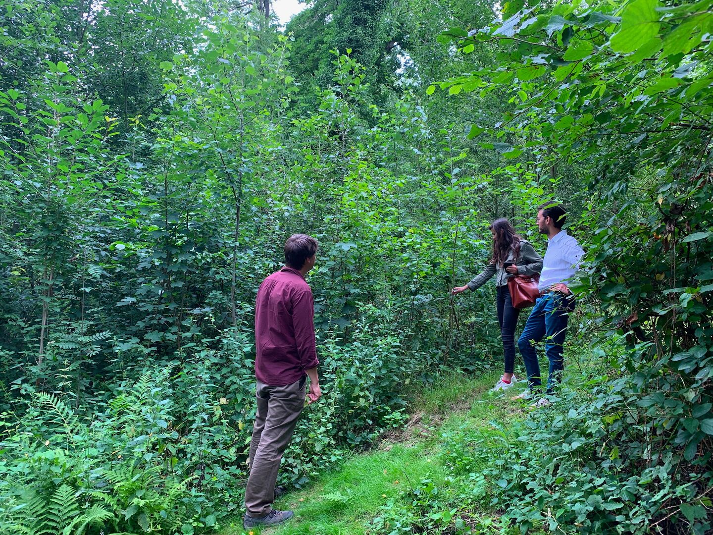 2,5 Jahre alter Tiny Forest | Credit: Nicolas de Brabandère/Urban Forests