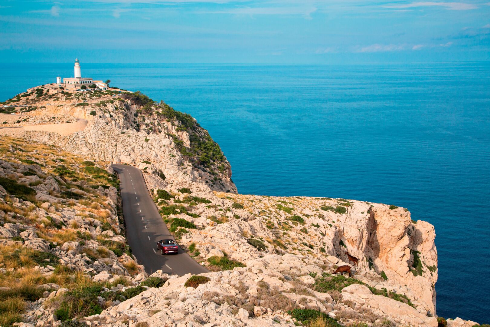 Aktuell ist keine Preis-Entspannung in Sicht. | Credit: Sunny Cars