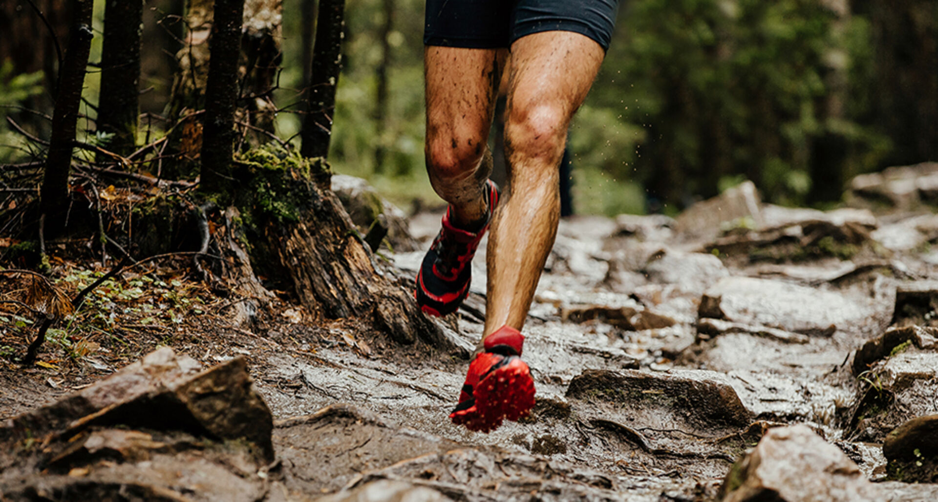 Mann läuft durch den Wald | Credit: iStock.com/sportpoint