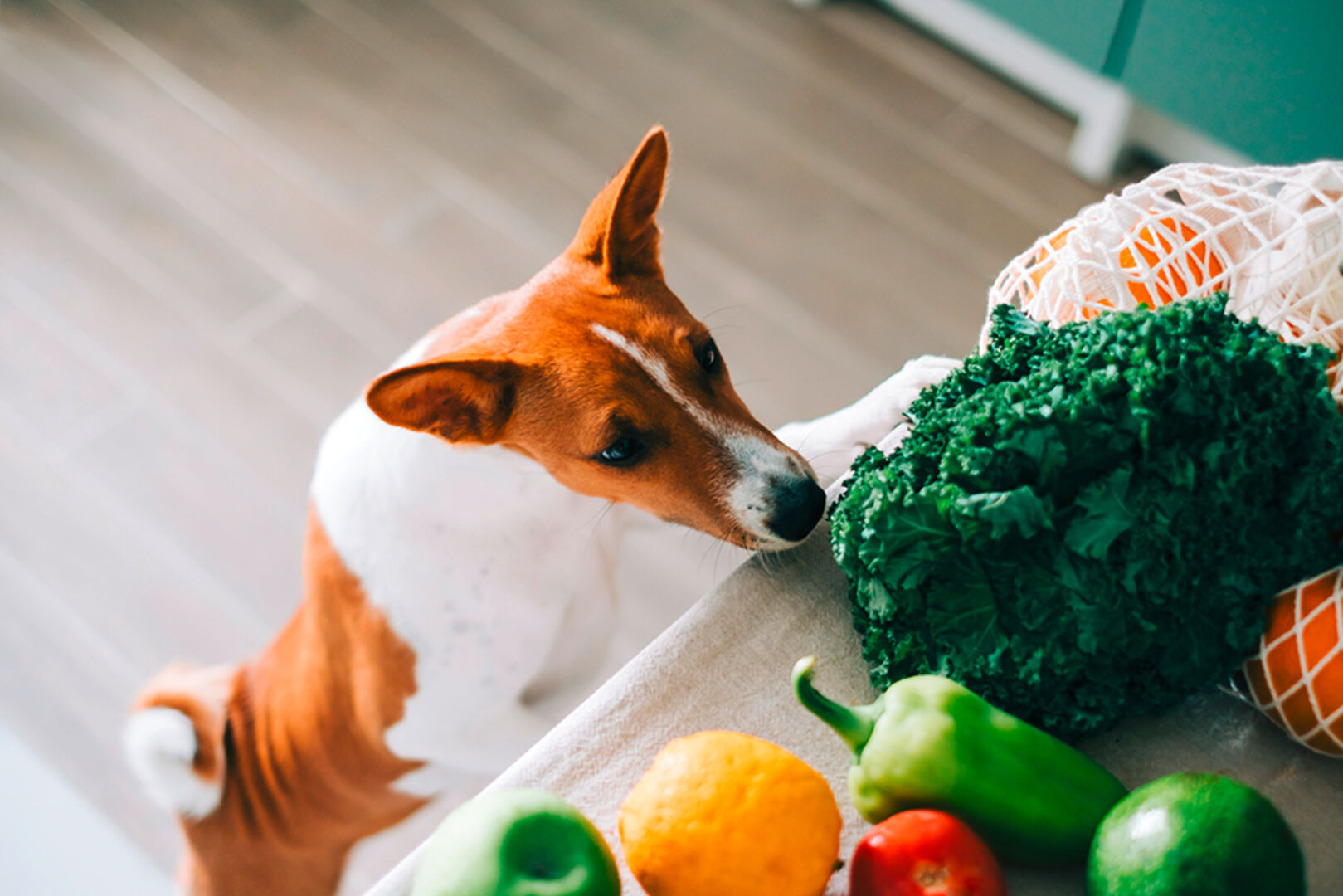 Kund schnuppert an einem Einkaufsnetz mit frischem Gemüse | Credit: iStock.com/nikkimeel