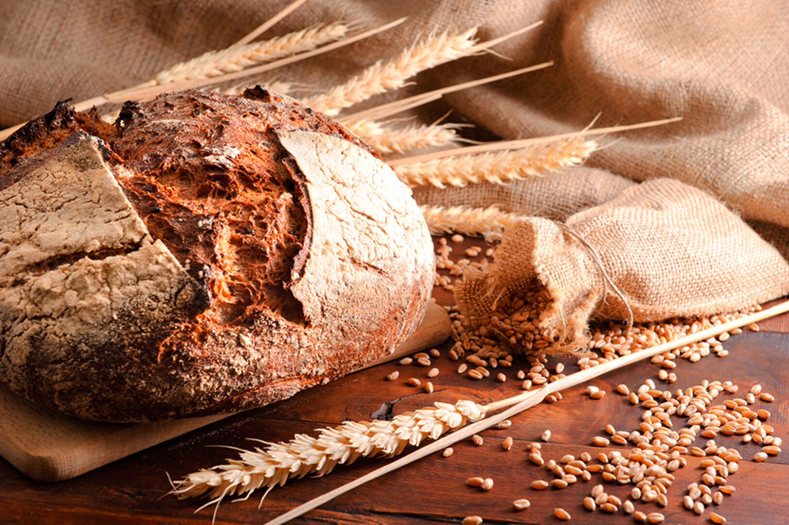 Ein Laib Brot und Weizenkörner | Credit: iStock.com/PaulGrecaud