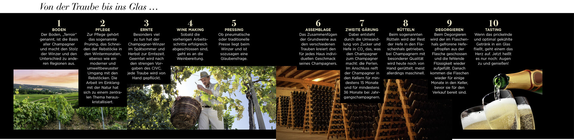 Schritte zur Champagner-Herstellung