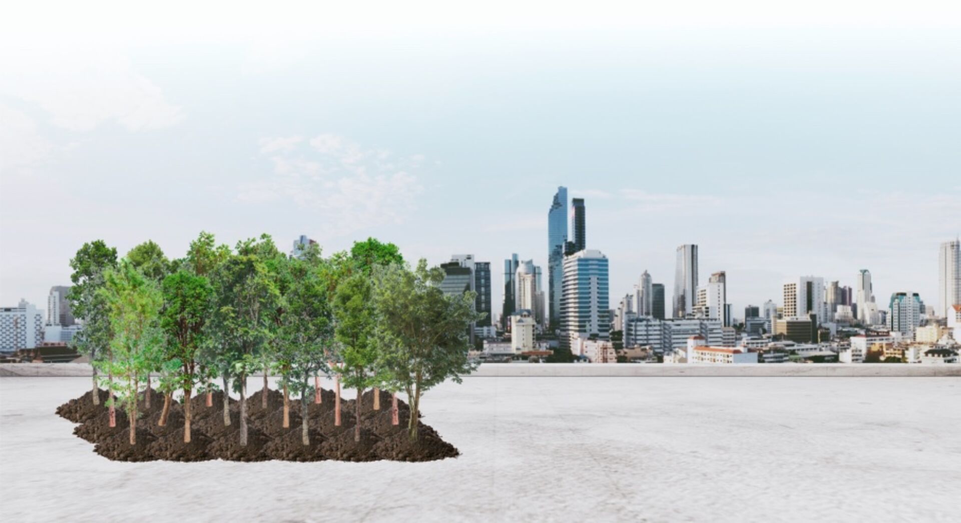 Mini-Wälder im Großstadt-Dschungel | Credit: Fotomontage: NASTCO/ISTOCK/GETTY IMAGES, SASINPARAKSA/ISTOCK/GETTY IMAGES, SUCHAT LONGTHARA/ISTOCK/GETTY IMAGES