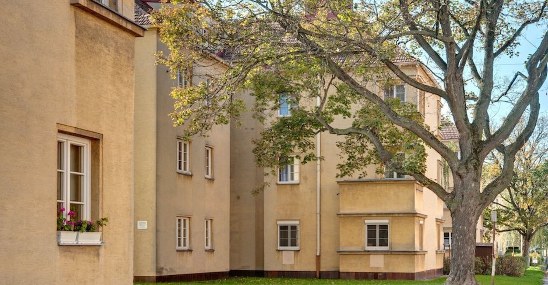 Fassade und begrünter Hof