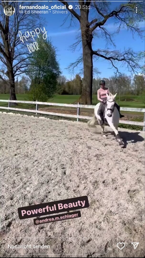 Instagram-Story von Alonso