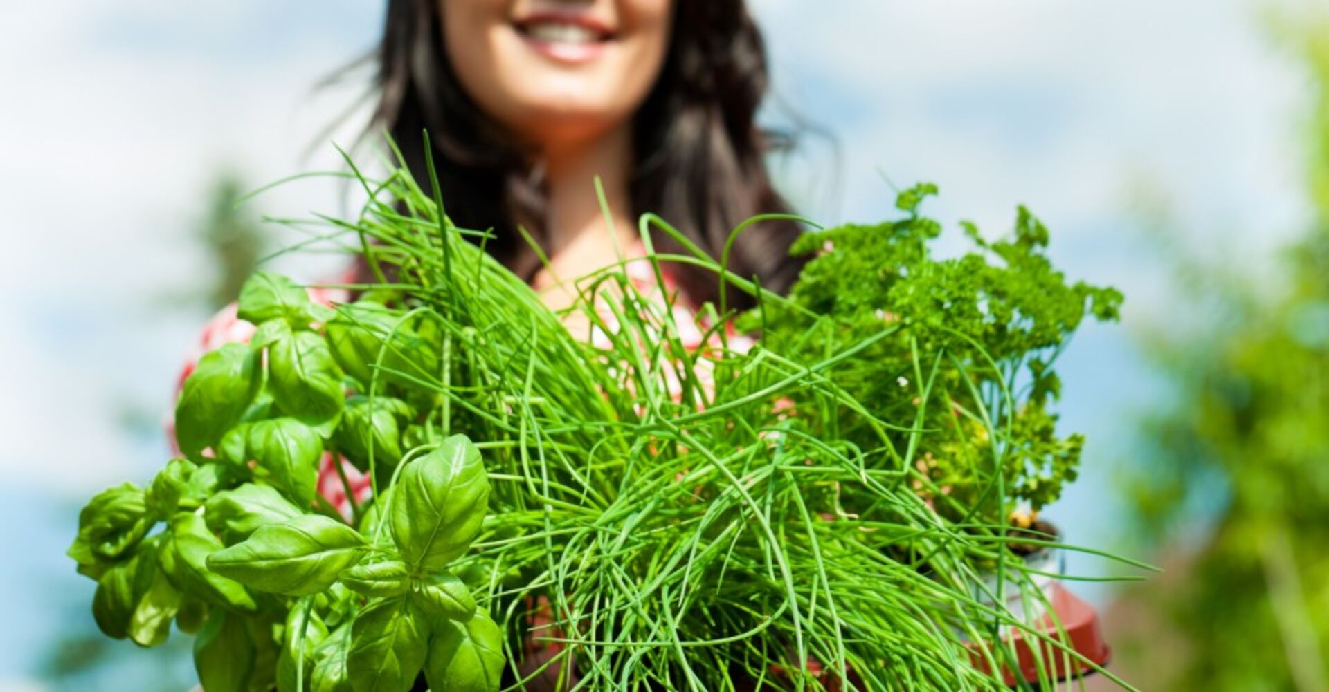 Frau hält Kräuter in der Hand | Credit: iStock.com/kzenon
