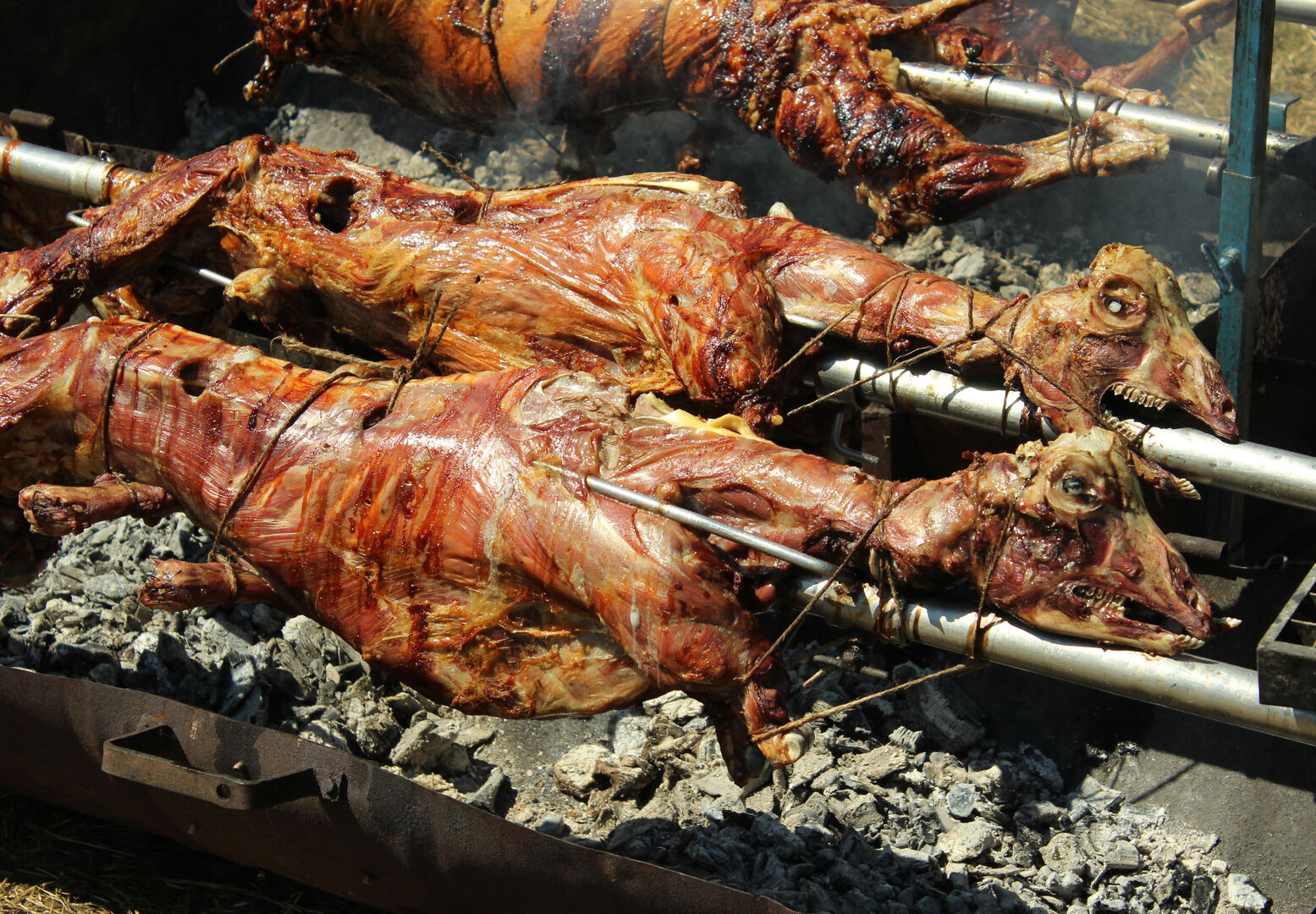 Lämmer am Grill | Credit: