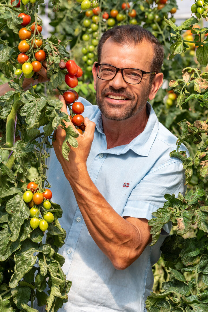 Karl Ploberger mit Tomatenpflanzen| Credit: Christoph Böhler