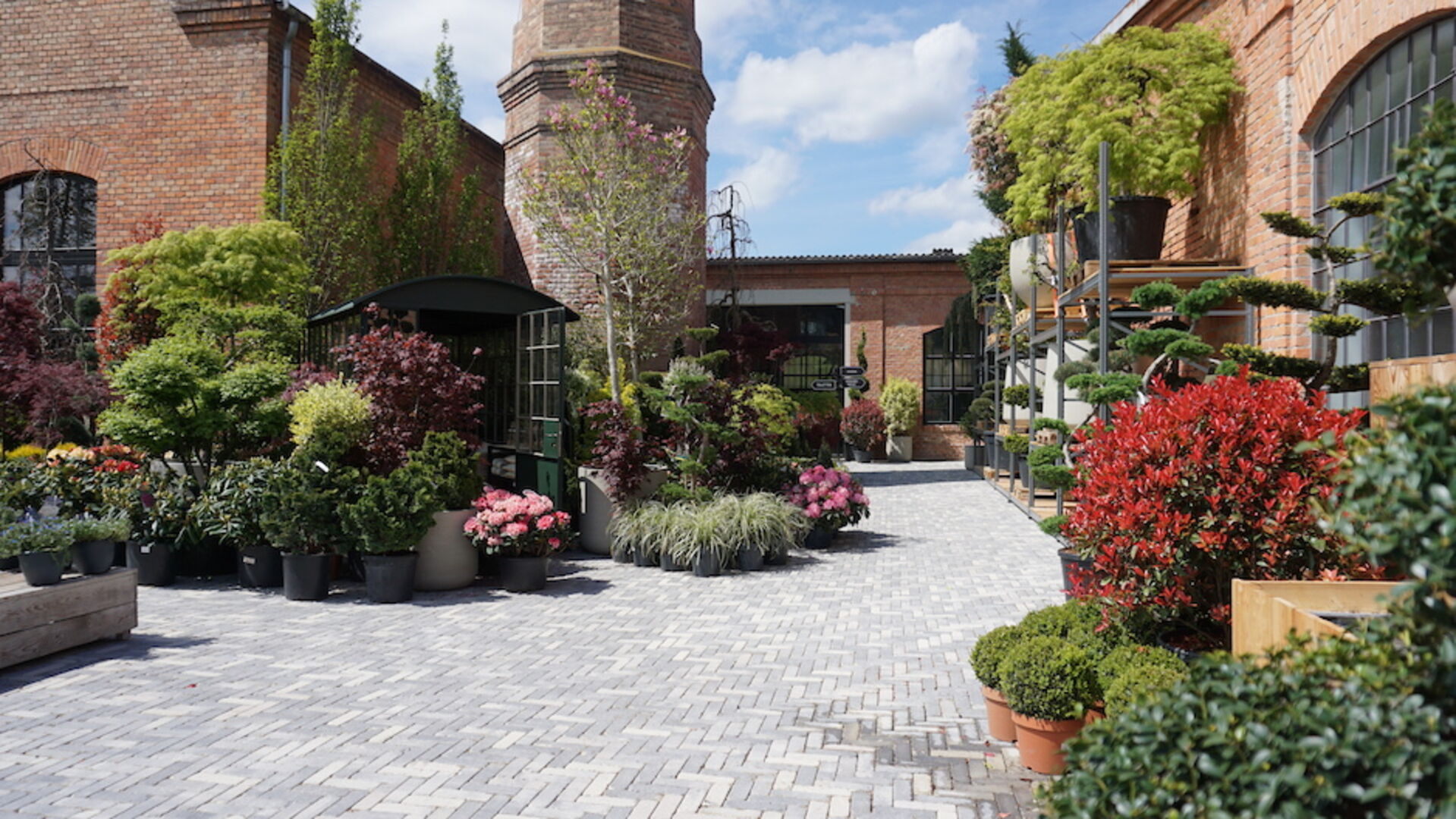 Weinfestival Thermenregion