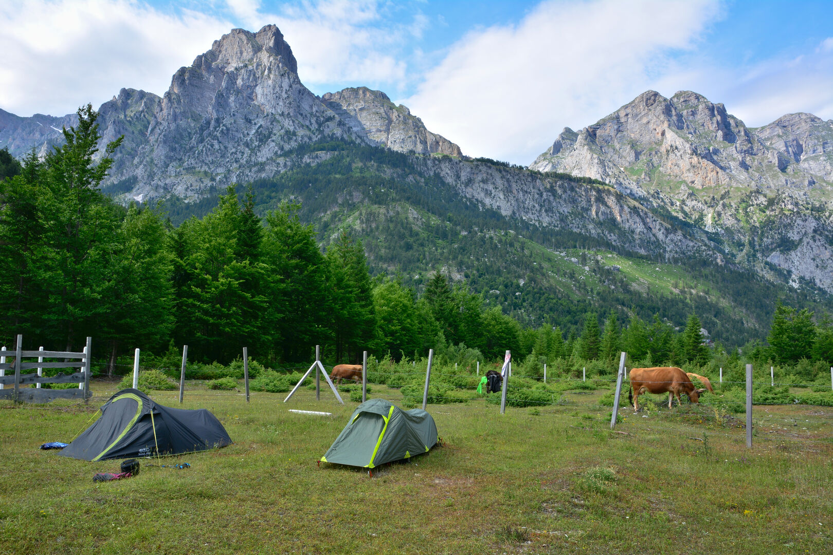 Das ultimative Camping-Schnäppchen: Albanien. | Credit: iStockphoto/Monik-a