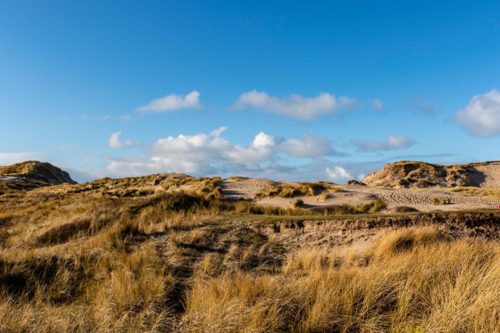 In den Dünen von Bergen aan Zee | Credit: iStock.com/worldwidephotoweb