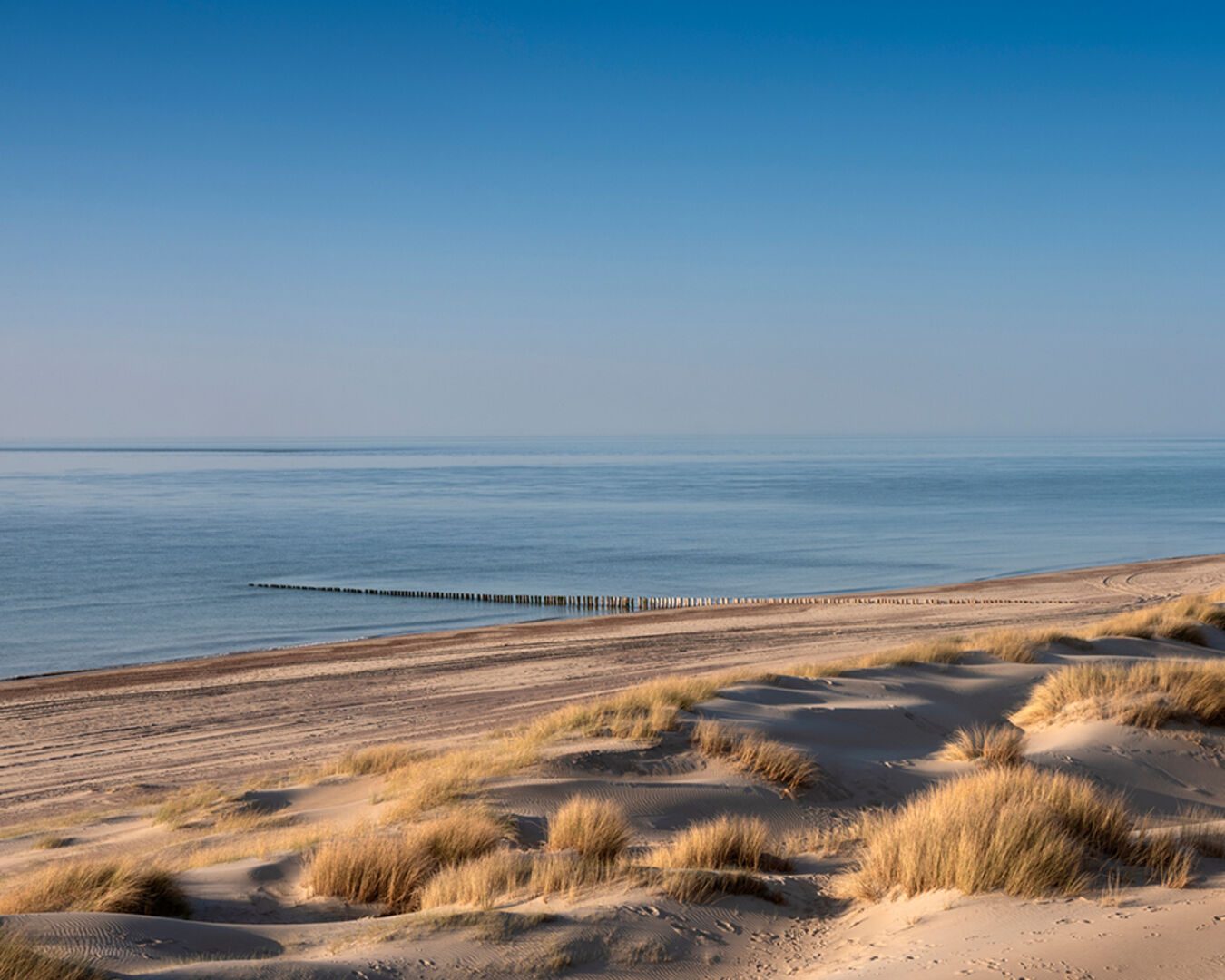 Der Strand von Renesse | Credit: iStock.com/ahavelaar