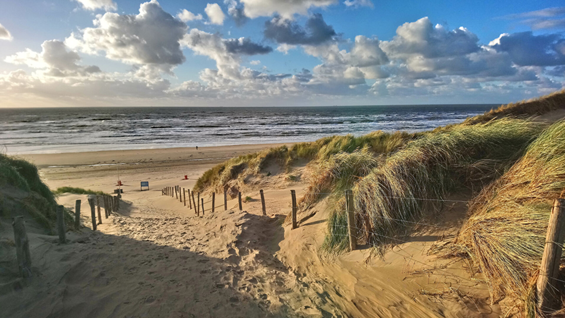 Der Strand von Bloemendaal aan Zee | Credit: iStock.com/Sebastian Schmidt