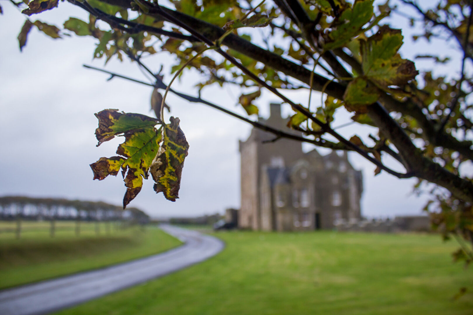 Abgelegenes altehrwürdiges Gebäude in Schottland an einem regnerischen Herbsttag | Credit: iStock.com/stevehurst79