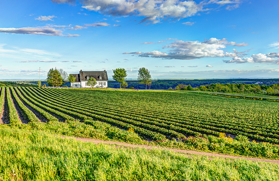 Einsam gelegenes Haus im Grünen in idyllischer Lage an einem sonnigen Tag | Credit: iStock.com/krblokhin