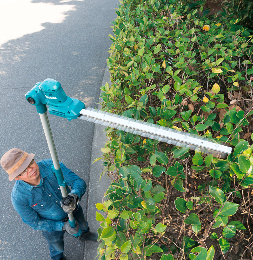Mann bei der Gartenarbeit mit einer Teleskopschere von MAKITA in der Hand | Credit: ZGONC