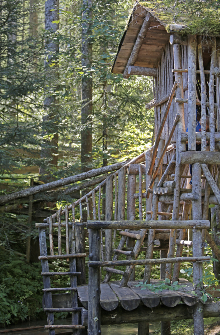 Urzeitwald | Credit: www.urzeitwald.at