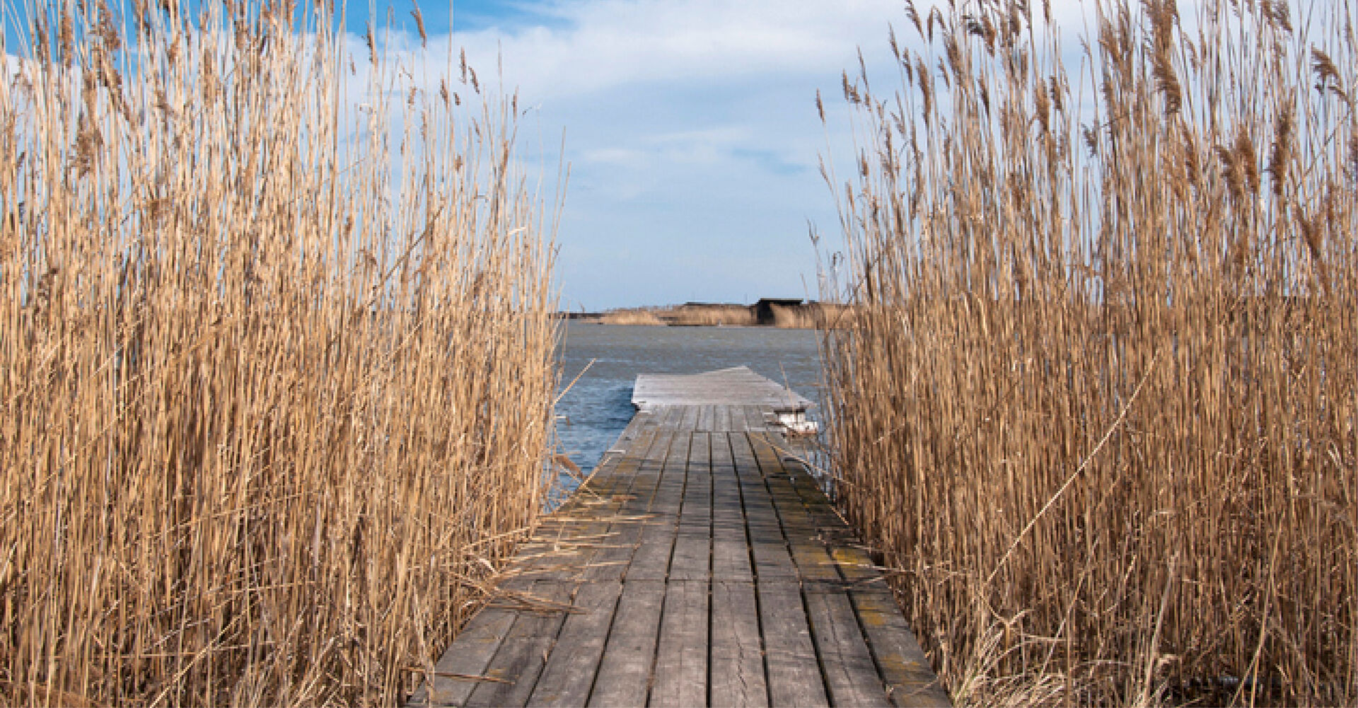 Fertő am Neusiedler See
