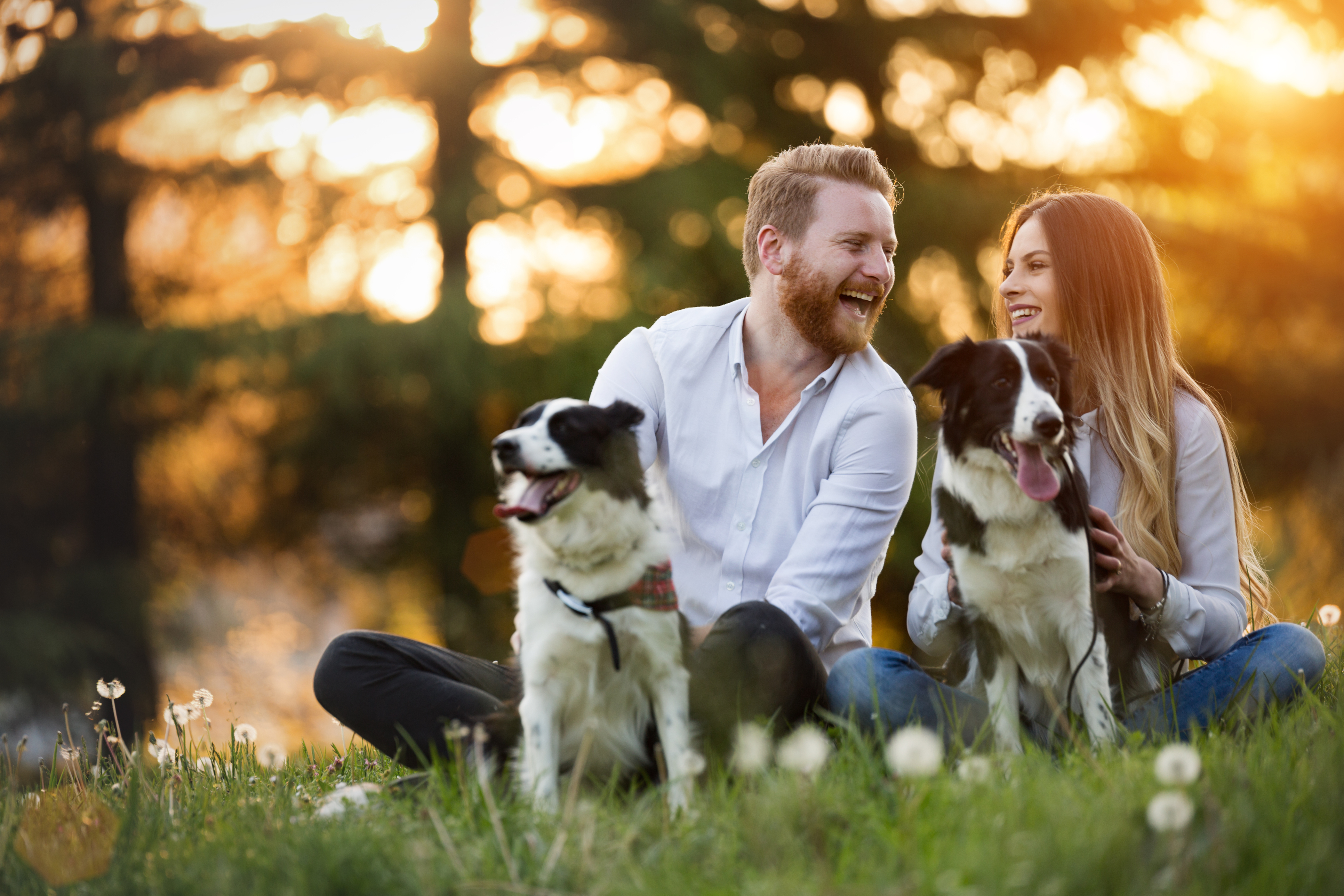 Flirtende Hundehalter | Credit: iStock.com/nd3000