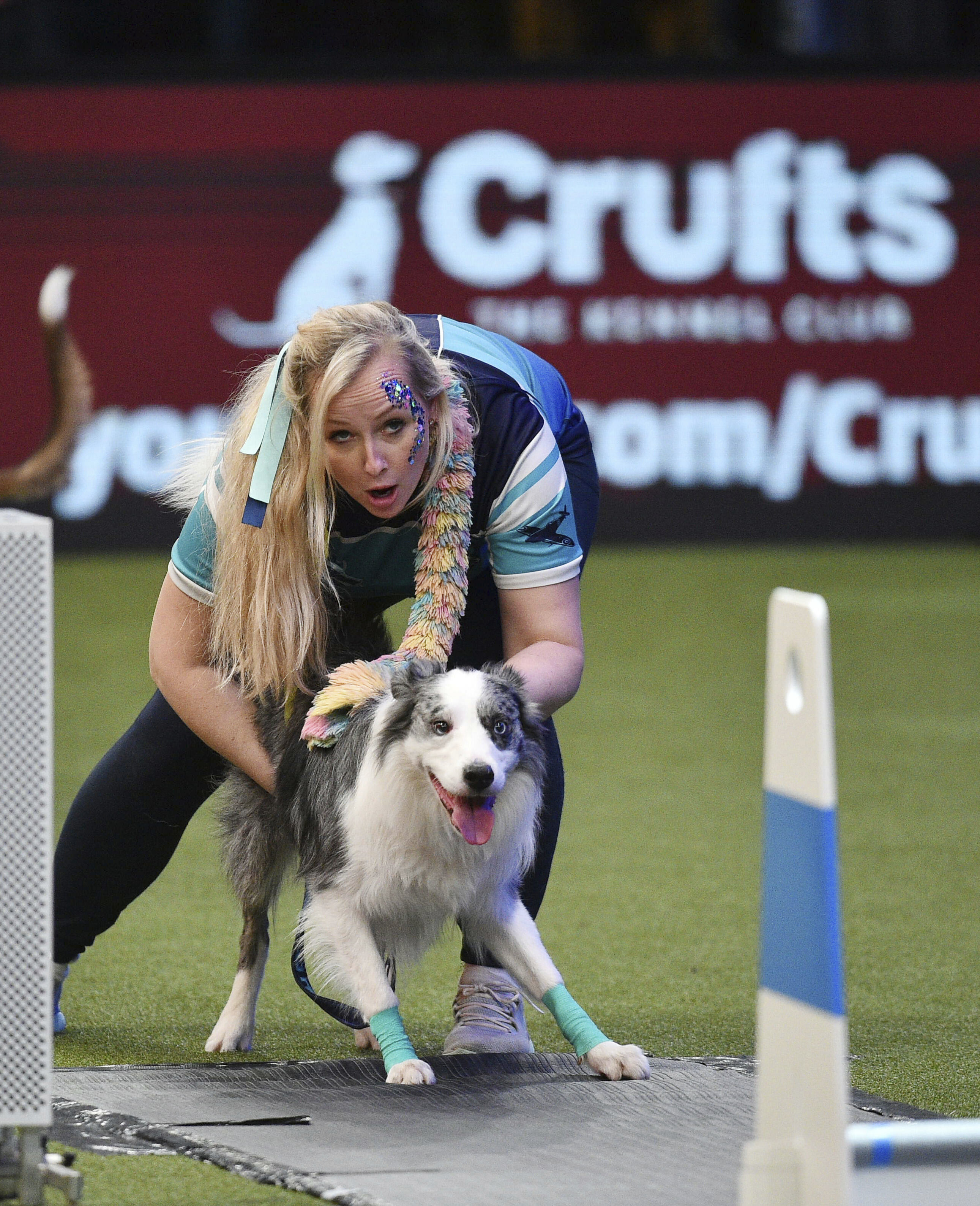 Australian Shepherd bei Agility