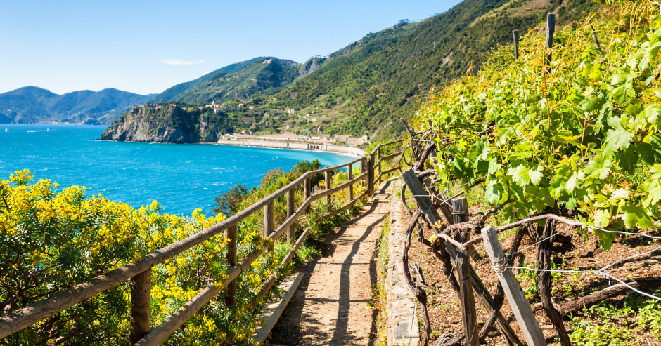 Wanderweg Richtung Strand in der Region der Cinque Terre | Credit: iStock.com/Olga_Gavrilova