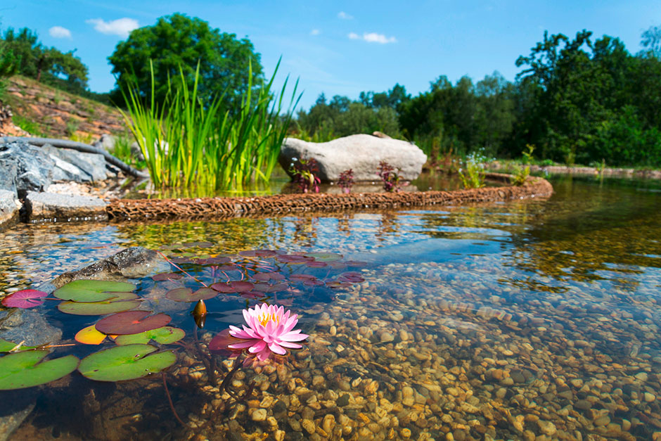 Schwimmteich in einem Park | Credit: iStock.com/josefkubes