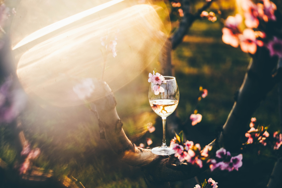 Ein Glas Weißwein im Sonnenuntergang | Credit: iStock.com/Maria Korneeva