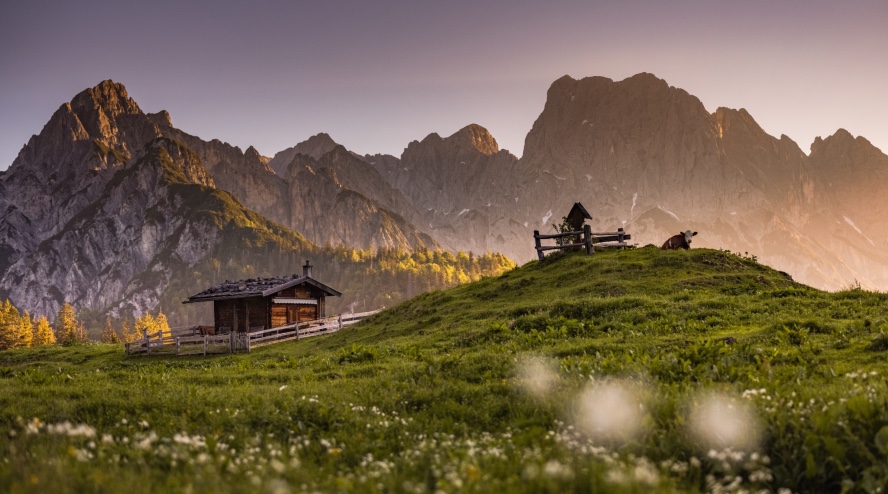 Alm-Idylle | Credit: Salzburger Saalachtal Tourismus/Fotomagie