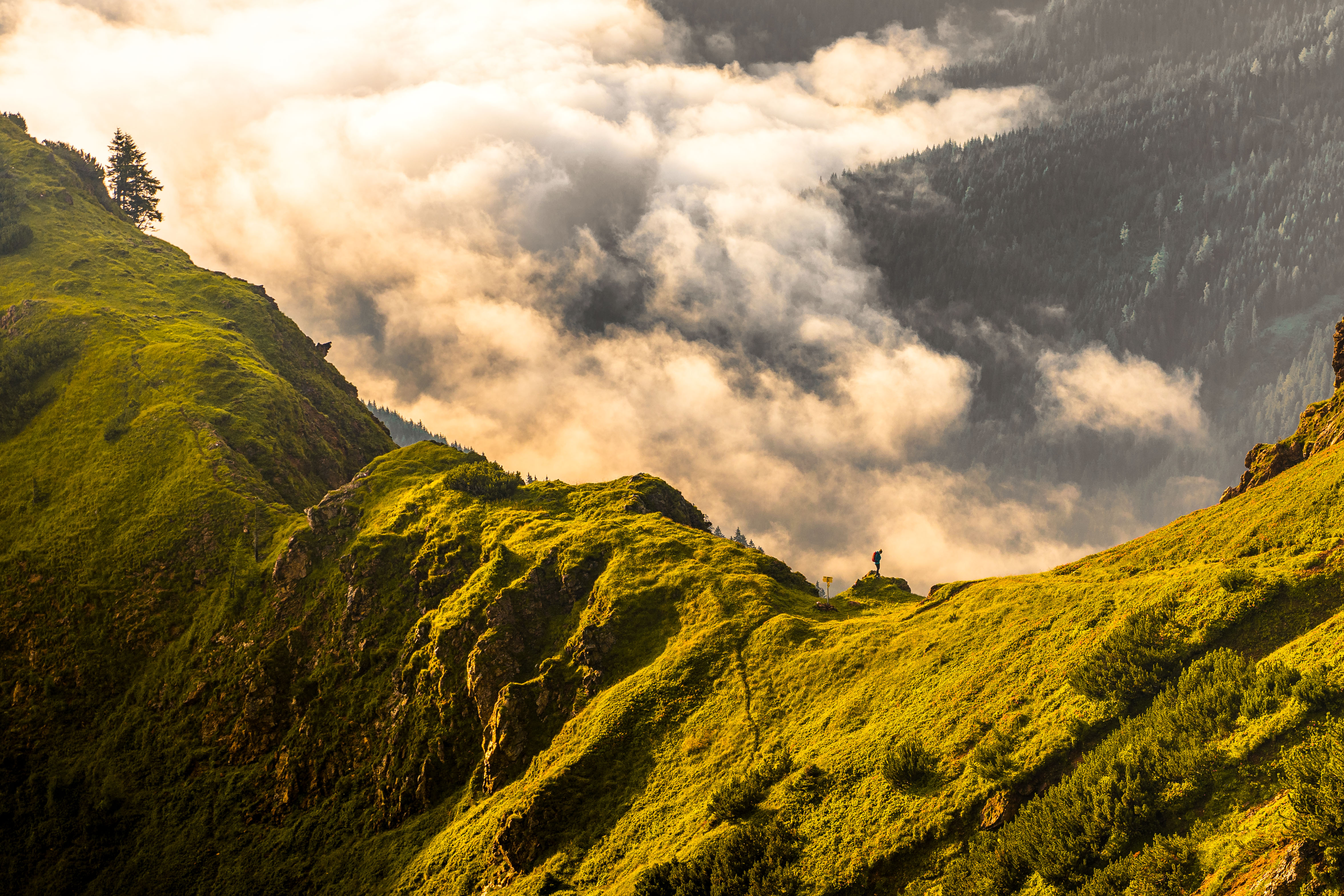 Spielberghorn | Credit: Michael Geißler