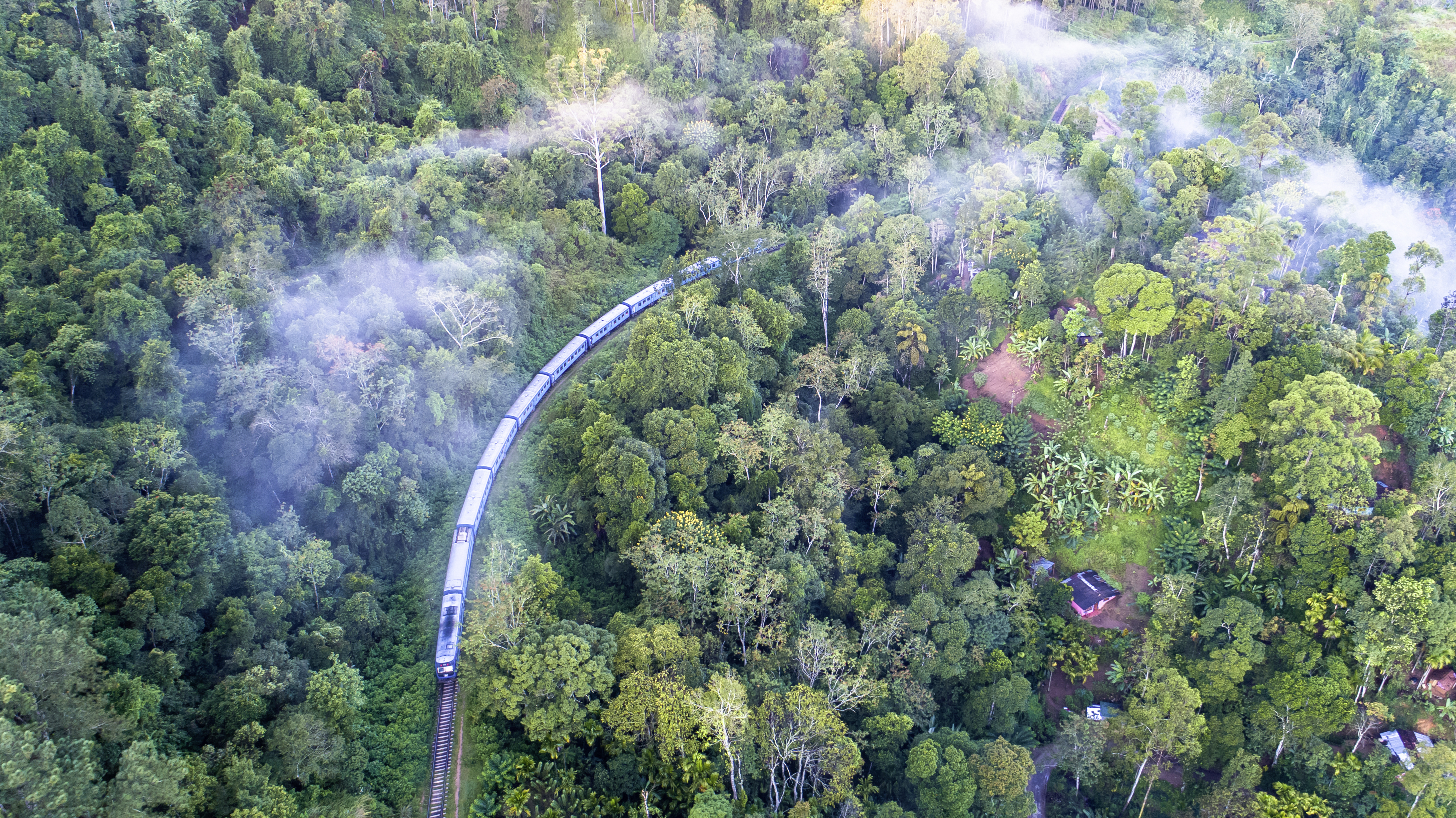 Zug in Sri Lanka fährt durch den Wald | Credit: iStock.com/MarisuLtu