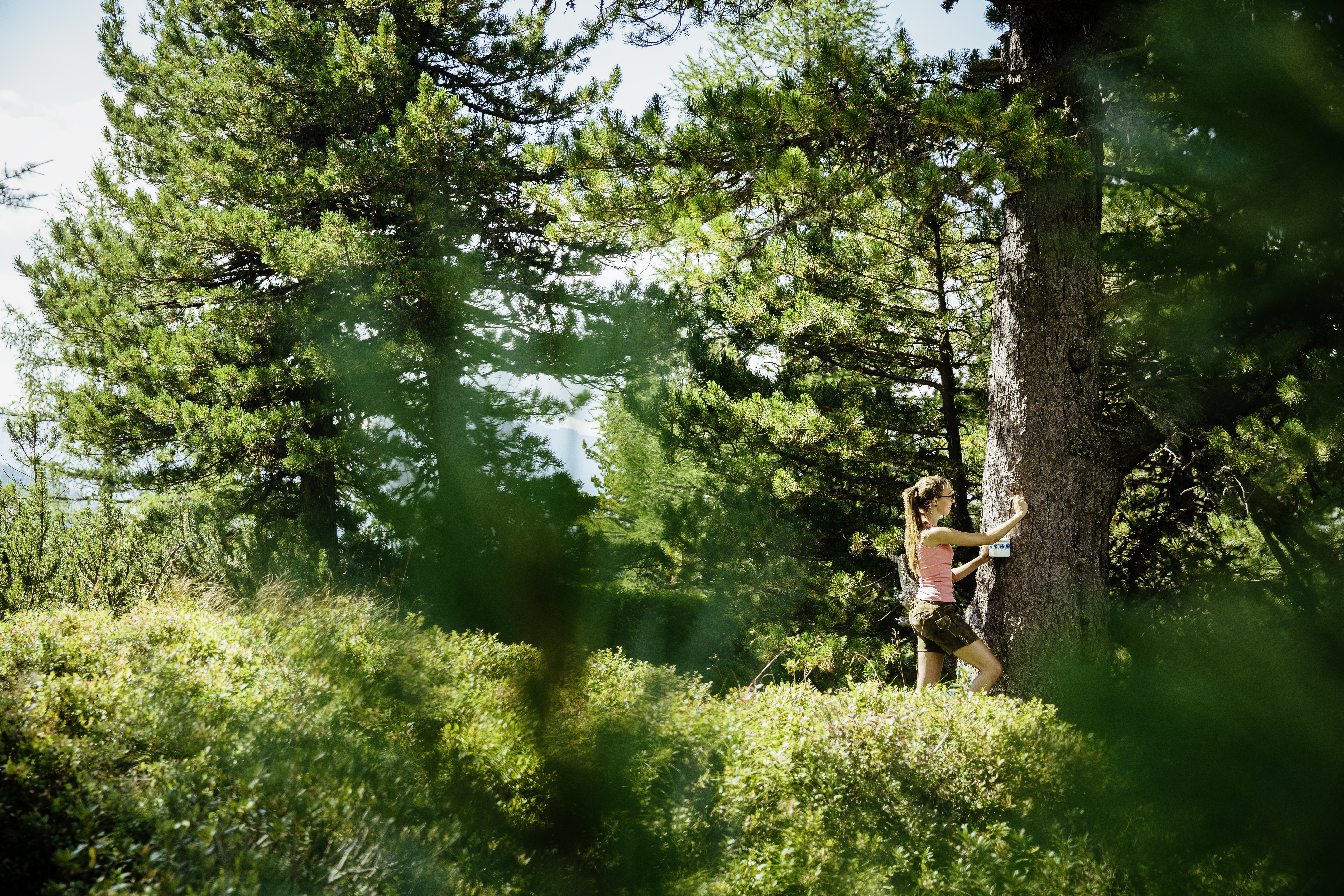 &quot;Waldbaden&quot; | Credit: