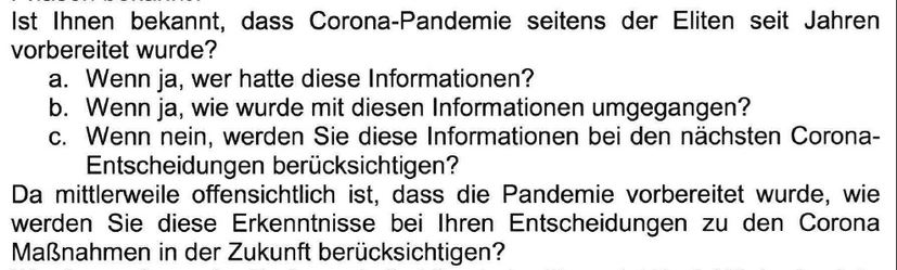 Ein Auszug aus der parlamentarischen Anfrage der FPÖ.